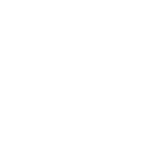 logo-iso